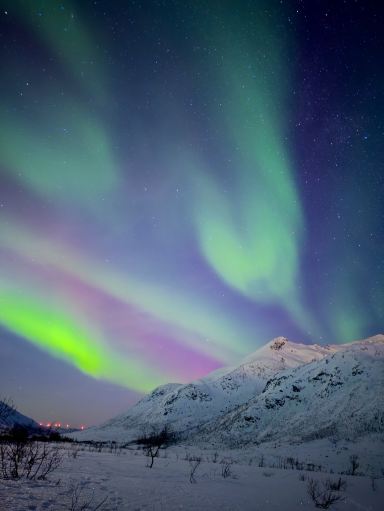 2026年はオーロラ当たり年！オーロラ撮影TIPS📸 | Trip.com Tromsdalen