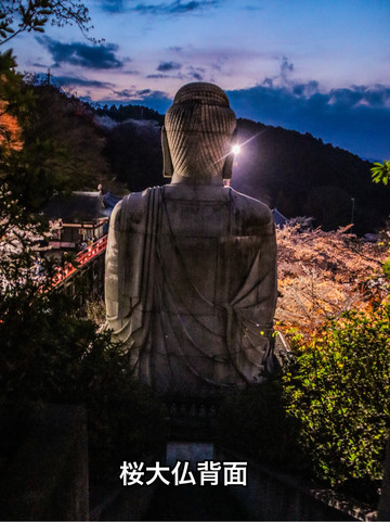 奈良県】 又兵衛桜と壺阪寺の桜大仏 桜絶景2選 | Trip.com 宇陀
