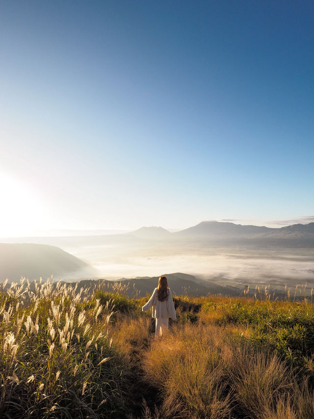 大自然満喫!春から秋にオススメの阿蘇の絶景スポット