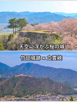 【兵庫県・竹田城跡】　天空に咲く桜