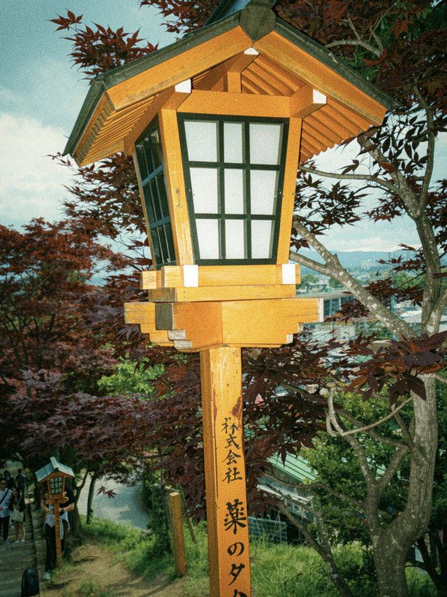 Tokyo 5 Days Travel Guide