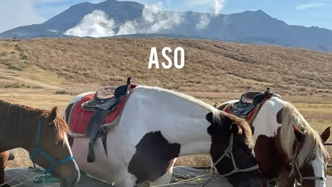 Road trip 3 วัน 2 คืน ในอาโซะ ช่องเขาทาคาชิโฮ และคุมาโมโตะ — traveler post in อะโซะ