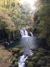 Epic Kyushu Road Trip: Scenic Spots, Cozy Towns & Vibes 🚗🍁