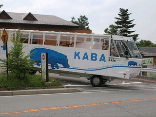 富士山水陸両用「KABAバス」体験｜360度のレイクビュー＋大迫力の湖へのダイブ！