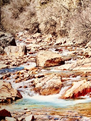 Greece Crete Samaria Gorge Agia Roumeli Mossy Coastal Forest