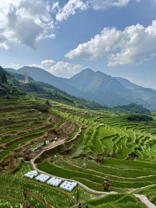 🌾 Yunhe Rice Terraces | A Thousand Years Written Across the Mountains