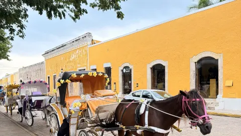 Kota Kuning Meksiko yang Memukau: Panduan Lengkap Wisata Kereta Kuda + Kunjungan ke Biara — traveler post in Merida