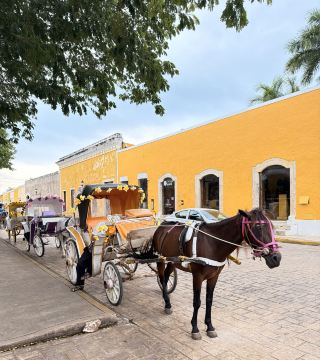 メキシコの絶景「黄色い街」馬車体験＋修道院巡りの完全攻略ガイド。