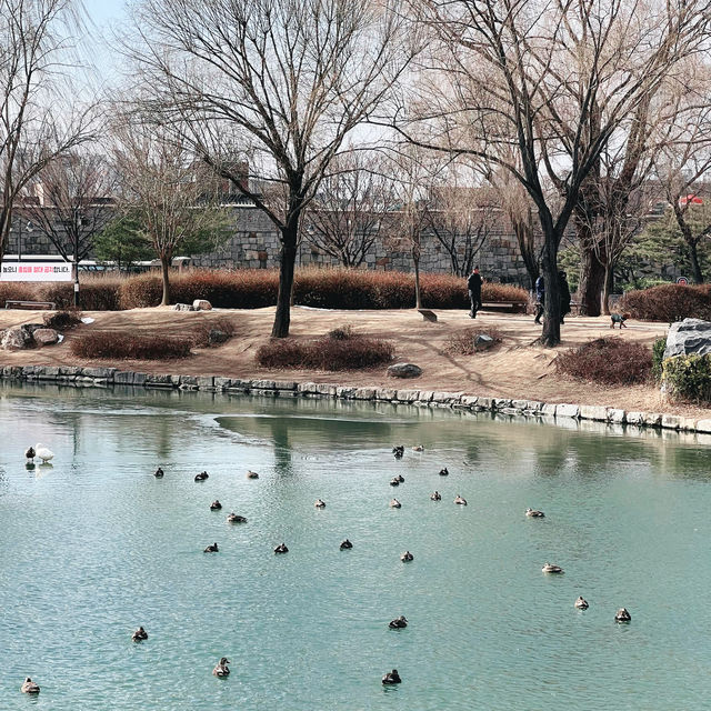 국내 여행 수원 핫플은 바로 수원화성⭐️
