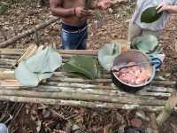 馬瑙斯亞馬遜叢林3天2晚探險旅遊攻略 🏕️