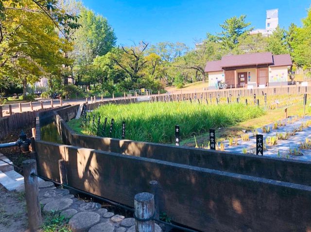 昭和沼公園