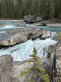 5-day Itinerary in Calgary