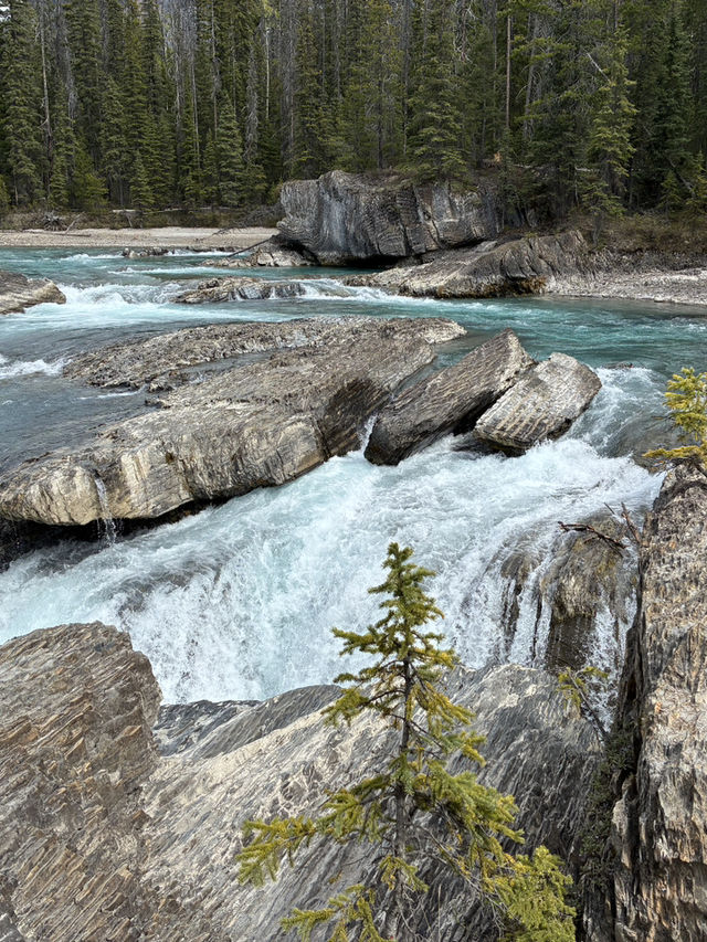 5-day Itinerary in Calgary