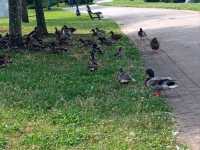 Murfreesboro 2 Days Itinerary