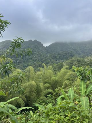 The Highest Point in Grenada