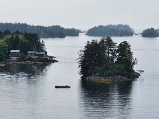 Exploring Downtown Sitka! 🐟 Wild Salmon & Misty Sights