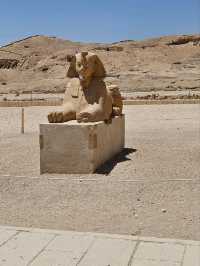 Valley of the Kings and Temple of Queen Hatsheput