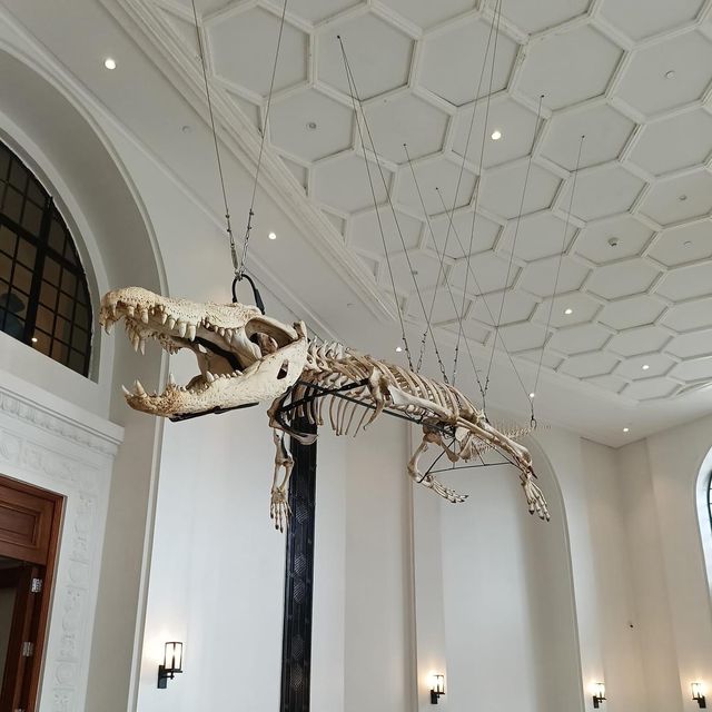National Museum of Natural History Manila 🗺️