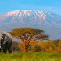 TANZANIA AUTHENTIC AND EXOTIC EXPERIENCES.