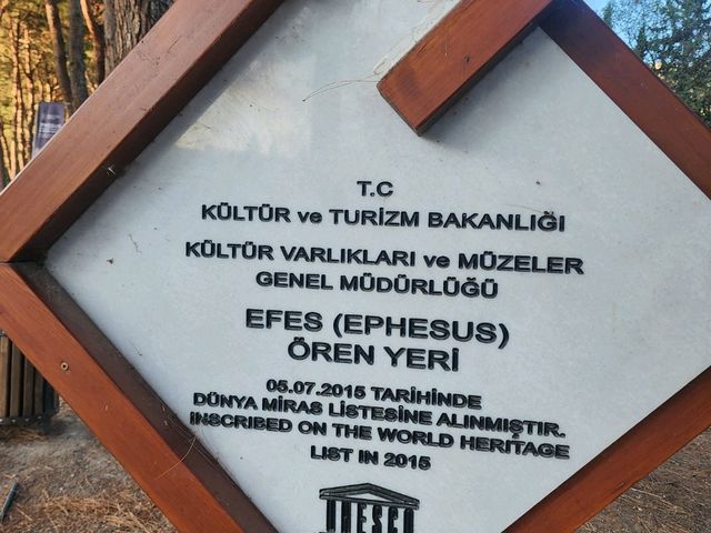 🇹🇷 튀르키예 에페소 고대도시에서 만난 세상에서 가장 큰 원형 극장중 하나.. 