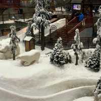 Snow in Dubai - Ski Dubai 🏔️
