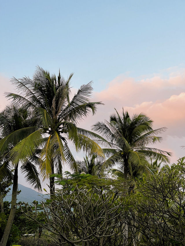 Magical Vacation In Hainan Island 🌴🐬🩵