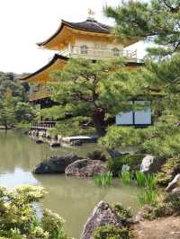Enchanting Vibes of Kyoto 🏯🌸