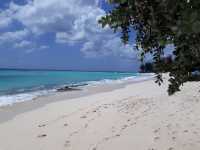 A Caribbean Paradise: Exploring Barbados