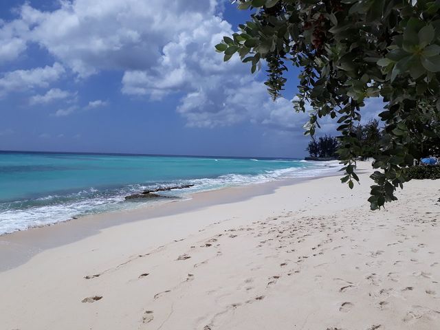 A Caribbean Paradise: Exploring Barbados