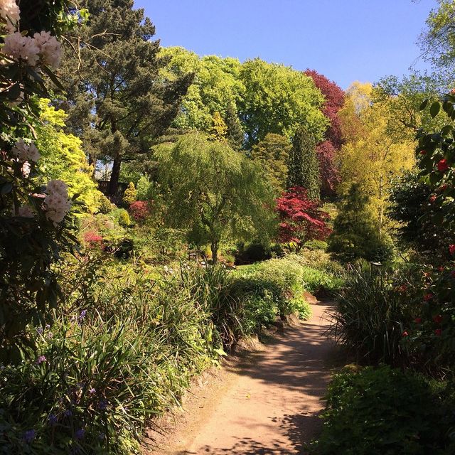 Manchester botanical gardens is so peaceful
