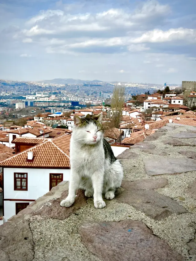 Turkey Ankara: one day in the capital