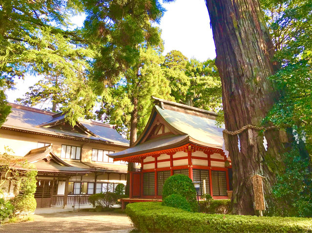 A leaving and beautiful piece of ancient Japan 🇯🇵