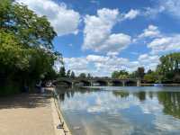 Hyde Park: London's Verdant Heart 🌳🚣‍♂️ 