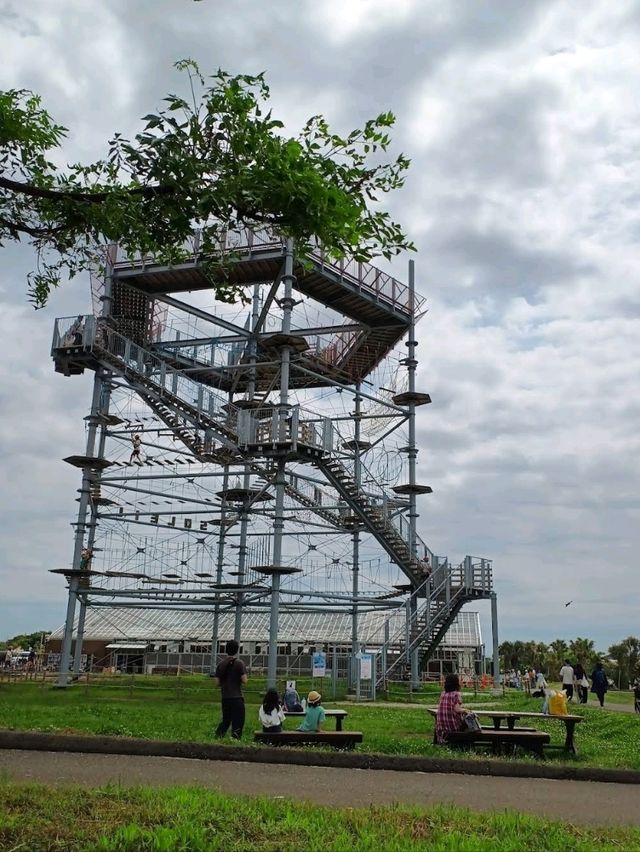 ☀️長井海之手公園 太陽之丘☀️體驗15米高的高空滑索