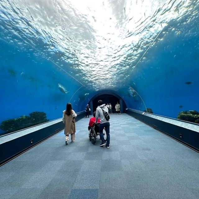 🐋横濱八景島海島樂園🦭島上的水族館和機動遊戲