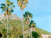 Palma de Mallorca 🇪🇸