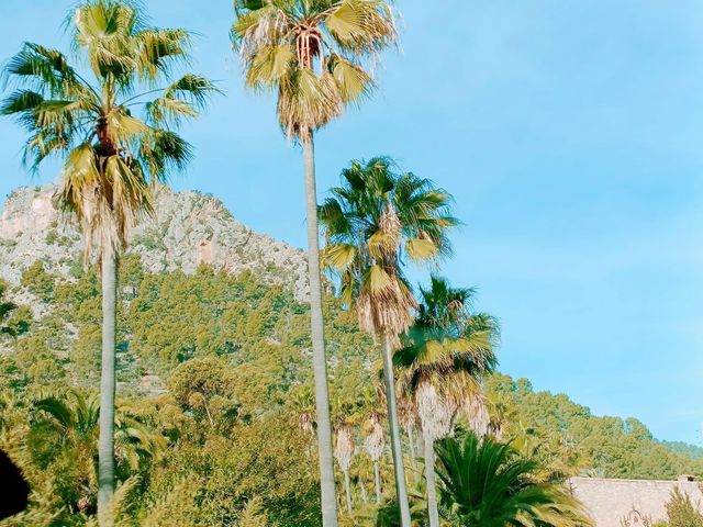 Palma de Mallorca 🇪🇸