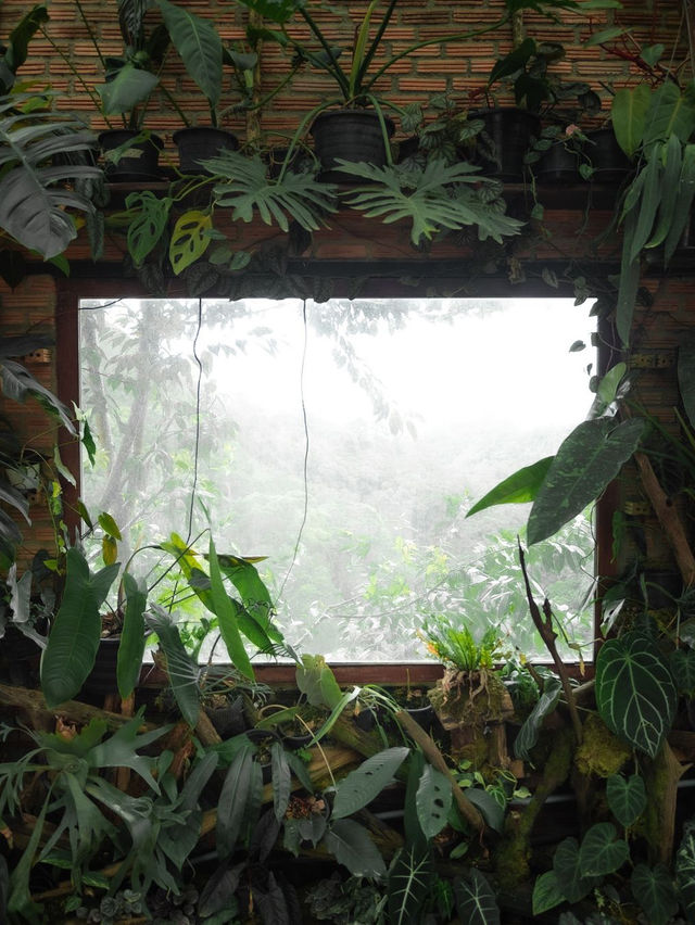  akipu homestay