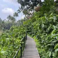 UBUD 4 DAYS OF PERFECTION ITINERARY FOR COUPLES!!