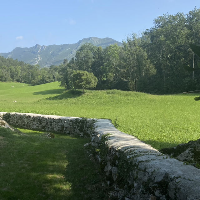 Asturian Cider Culture and Rural Life