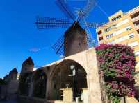 Palma de Mallorca in December