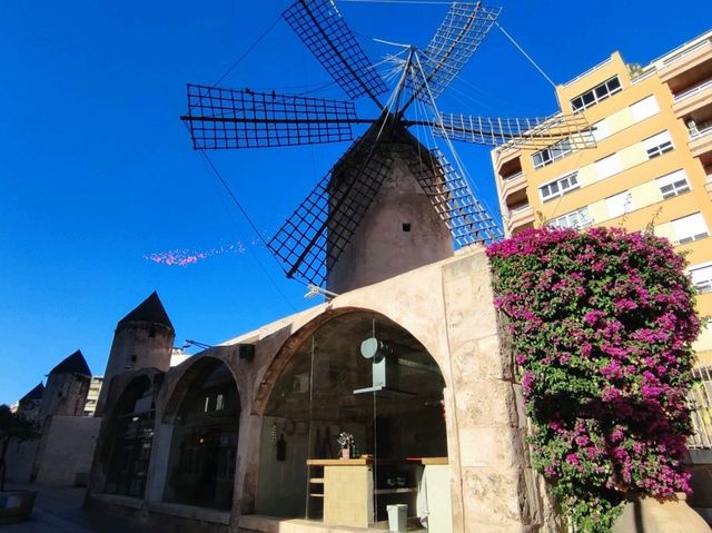 Palma de Mallorca in December