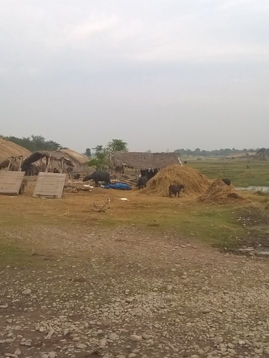 Rural Life in Jammu: Simplicity Amidst Nature