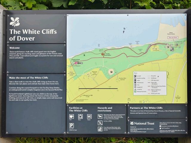 Standing at the Edge of England: The Majestic White Cliffs of Dover