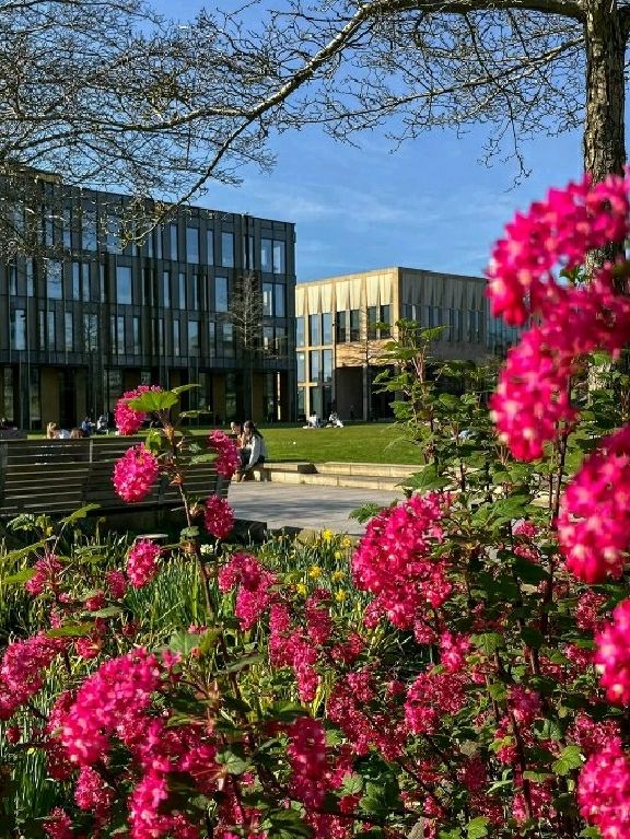 🌸 Birmingham in Bloom: The City Bursting with Colour This Spring 🌼🌆