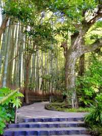 Spring Serenity at Hokoku-ji
