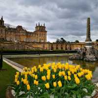 A Day at Blenheim: Escaping Oxford for History and Grandeur