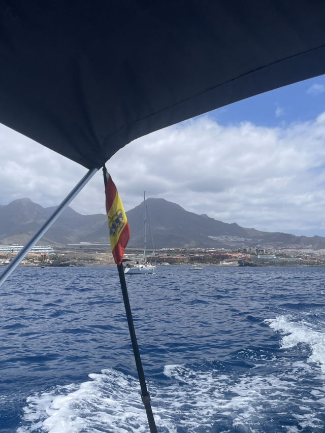 Tenerife South