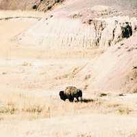 🚗 Getting to Badlands National Park: Your Transportation Guide 🏜️