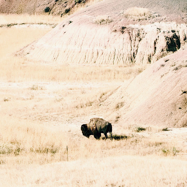 🚗 Getting to Badlands National Park: Your Transportation Guide 🏜️